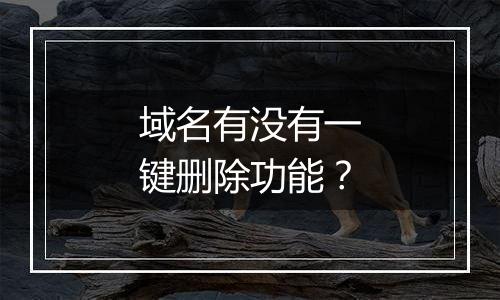 域名有没有一键删除功能?