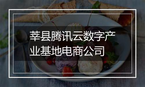 莘县腾讯云数字产业基地电商公司