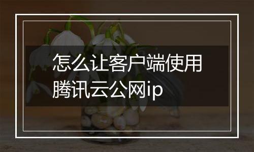 怎么让客户端使用腾讯云公网ip