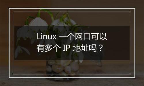 Linux 一个网口可以有多个 IP 地址吗?