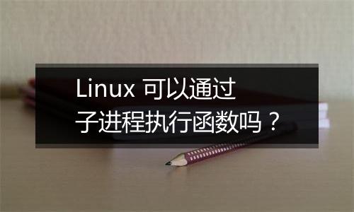 Linux 可以通过子进程执行函数吗?