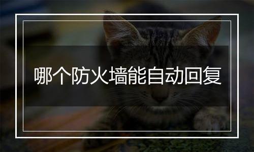 哪个防火墙能自动回复