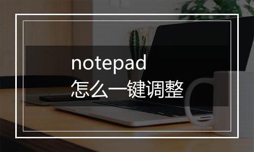 notepad怎么一键调整
