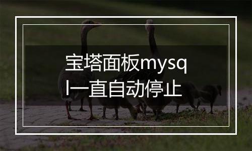 宝塔面板mysql一直自动停止