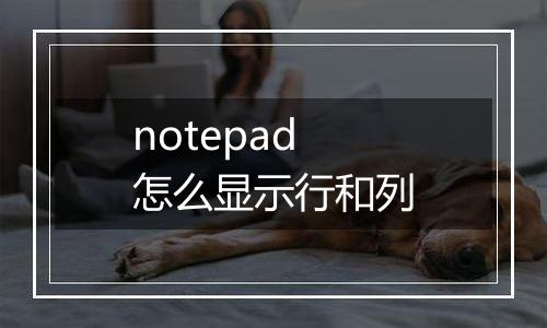 notepad怎么显示行和列