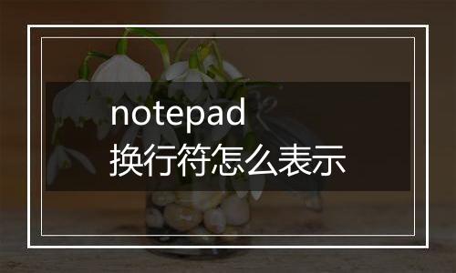 notepad换行符怎么表示