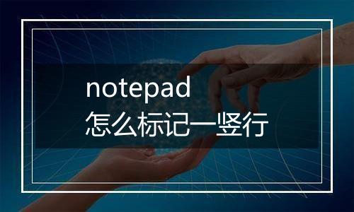 notepad怎么标记一竖行