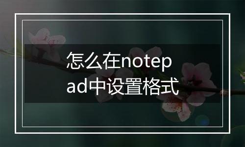 怎么在notepad中设置格式
