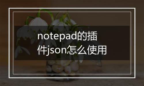 notepad的插件json怎么使用