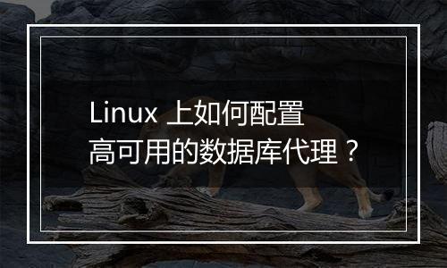 Linux 上如何配置高可用的数据库代理?