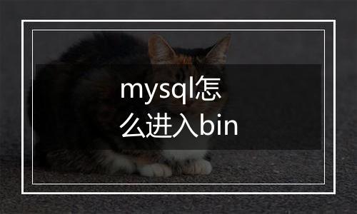 mysql怎么进入bin