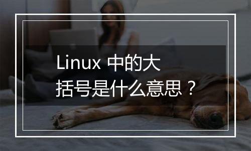 Linux 中的大括号是什么意思?