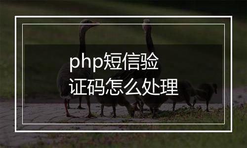 php短信验证码怎么处理