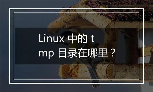 Linux 中的 tmp 目录在哪里？