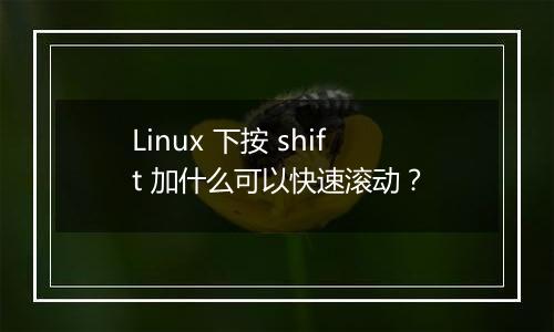 Linux 下按 shift 加什么可以快速滚动?