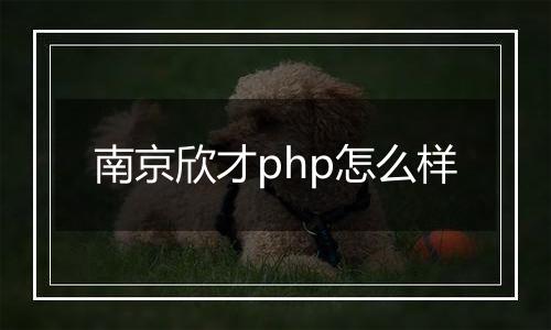 南京欣才php怎么样