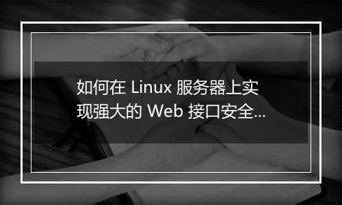 如何在 Linux 服务器上实现强大的 Web 接口安全性防护？