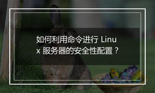 如何利用命令进行 Linux 服务器的安全性配置？