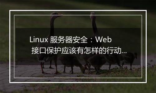 Linux 服务器安全:Web 接口保护应该有怎样的行动计划?