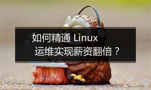 如何精通 Linux 运维实现薪资翻倍？