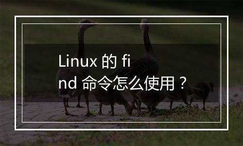 Linux 的 find 命令怎么使用?