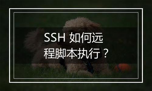 SSH 如何远程脚本执行?
