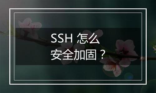 SSH 怎么安全加固?