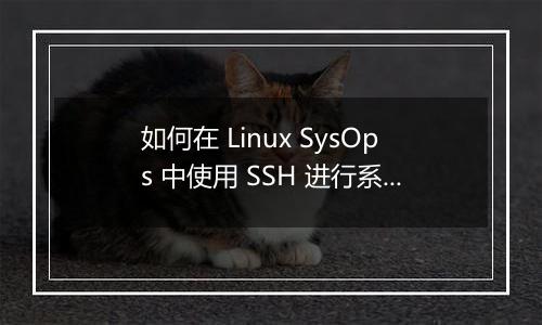 如何在 Linux SysOps 中使用 SSH 进行系统监控与性能调优?
