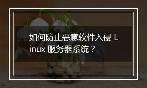 如何防止恶意软件入侵 Linux 服务器系统?