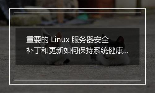 重要的 Linux 服务器安全补丁和更新如何保持系统健康?