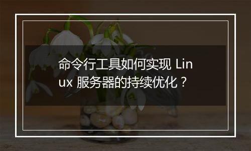 命令行工具如何实现 Linux 服务器的持续优化？