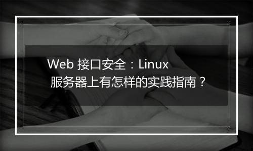 Web 接口安全：Linux 服务器上有怎样的实践指南？