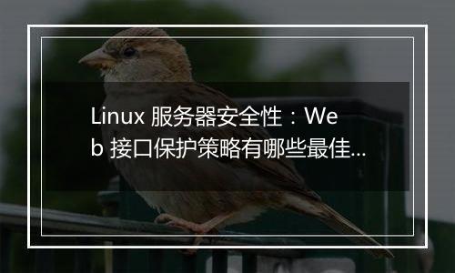 Linux 服务器安全性:Web 接口保护策略有哪些最佳实践?
