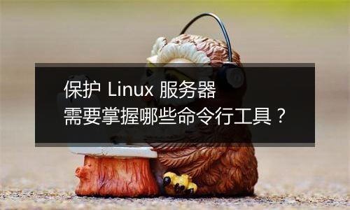 保护 Linux 服务器需要掌握哪些命令行工具?