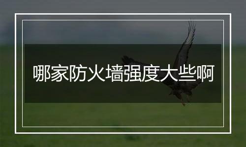哪家防火墙强度大些啊