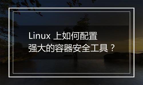 Linux 上如何配置强大的容器安全工具？