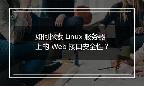 如何探索 Linux 服务器上的 Web 接口安全性？