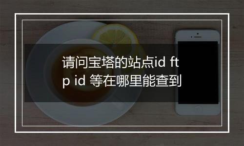 请问宝塔的站点id ftp id 等在哪里能查到