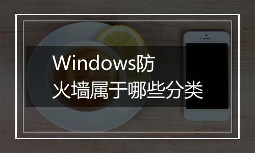 Windows防火墙属于哪些分类