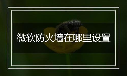 微软防火墙在哪里设置