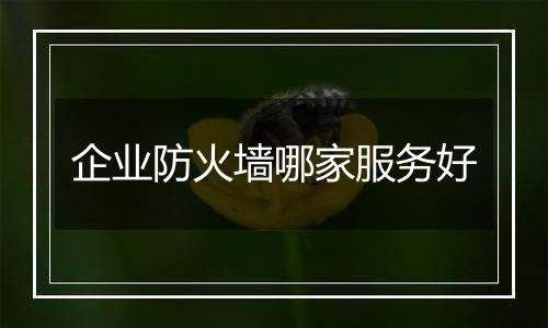 企业防火墙哪家服务好