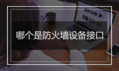 哪个是防火墙设备接口