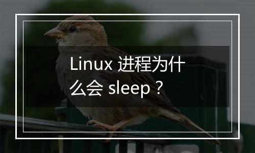 Linux 进程为什么会 sleep？