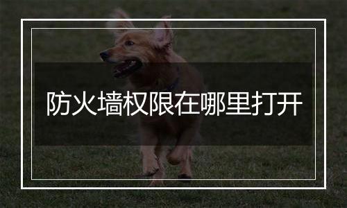 防火墙权限在哪里打开