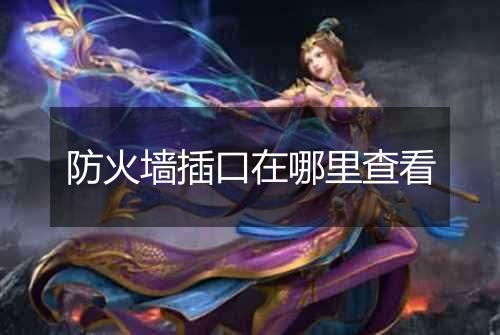 防火墙插口在哪里查看