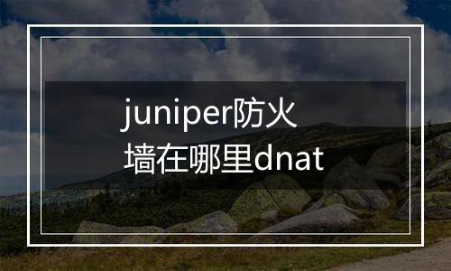 juniper防火墙在哪里dnat