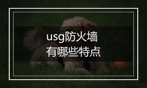usg防火墙有哪些特点
