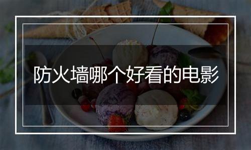 防火墙哪个好看的电影