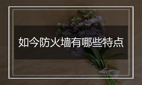 如今防火墙有哪些特点