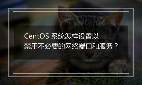 CentOS 系统怎样设置以禁用不必要的网络端口和服务?